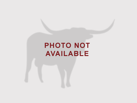 #AnimalInfo.txtName#